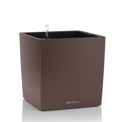 cube_esp_large.png