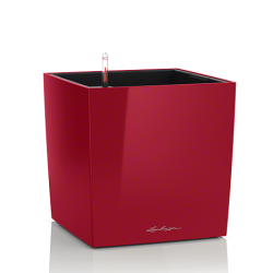 cube_srot_large.png