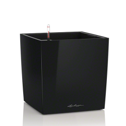 cube_sw_large.png