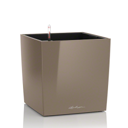 cube_tp_large.png