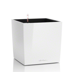 cube_w_large.png