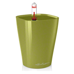 deltini_olive_large копия.png