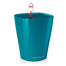 deltini_pfblau_large копия.png