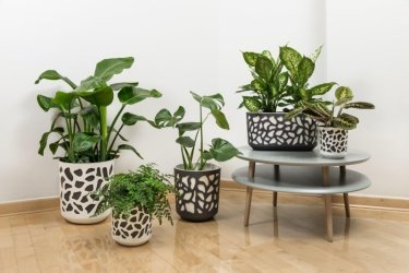duet_donice_flower_pots_skrzynka_balcony_trough.jpg