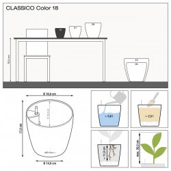 Lechuza_classico-color18