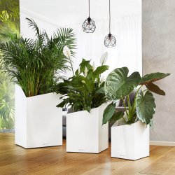 le_cursivo_product_addi_02.jpg