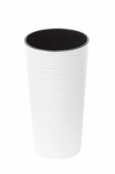 lilia_dluto_bialy_nr_05.jpg