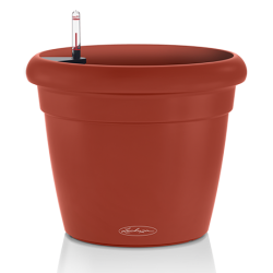 rustico_color_rooibus_large.png