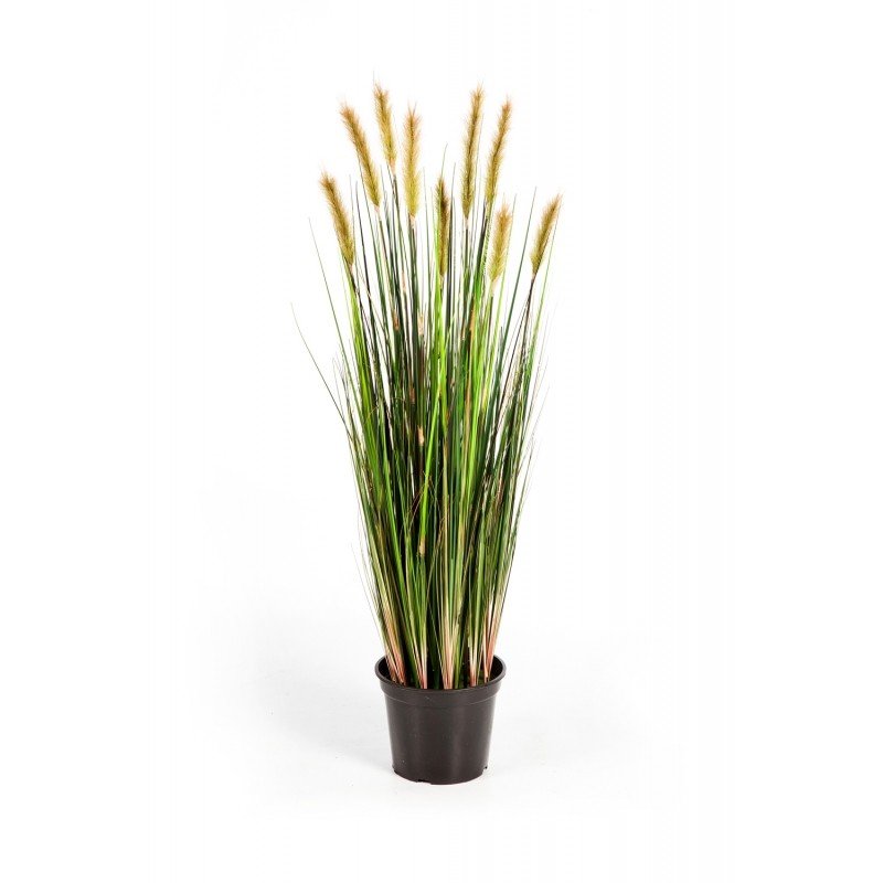 1040Nkamysh-lisiy-khvost-90-180cm-iskusstvennoe-rastenie-flora-by.jpg
