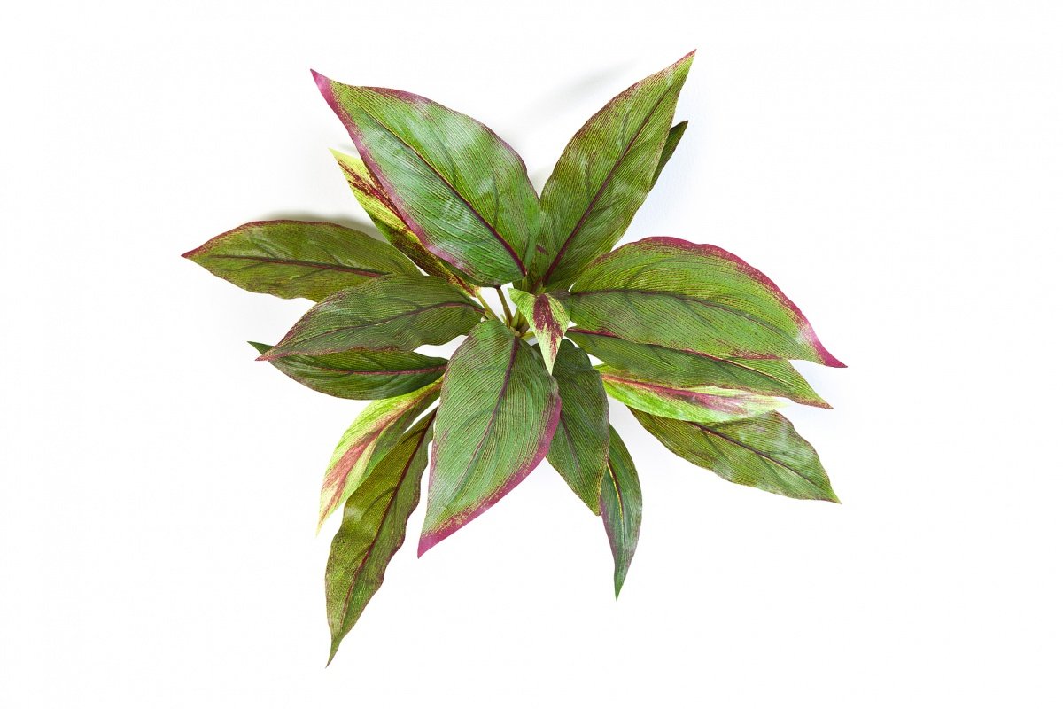 1080NR-kordilina-miks-iskusstvennaya-30cm-flora-by.jpg 