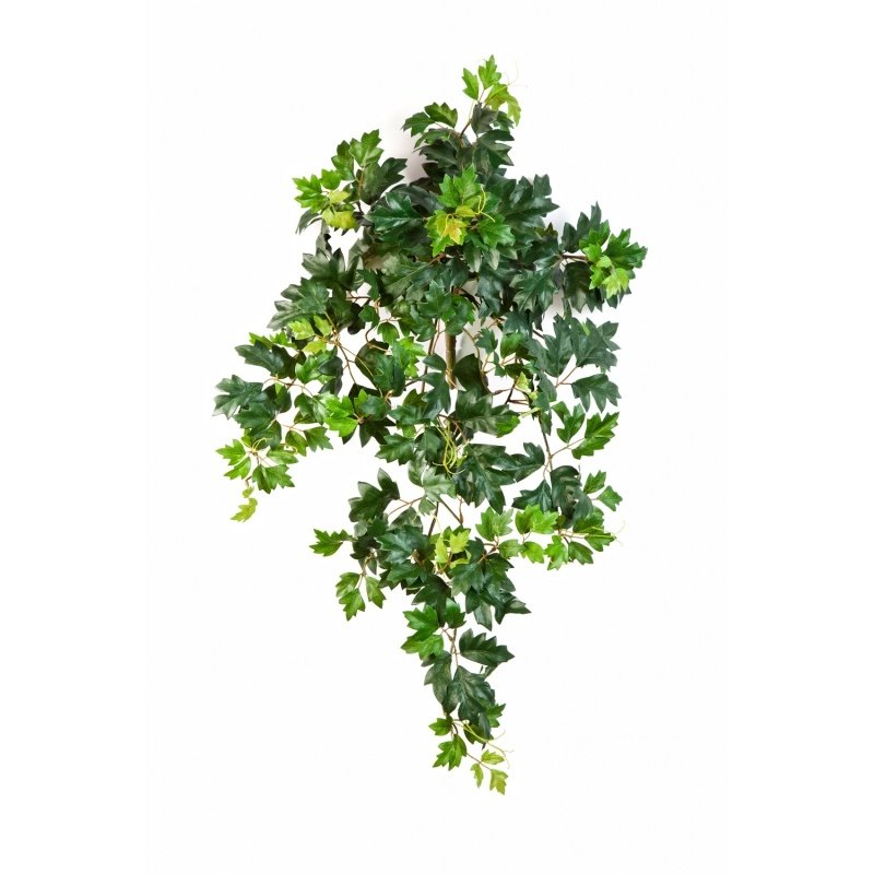 1190N-cissus-ampelnyy-90cm-iskusstvenniy-flora-by.jpg