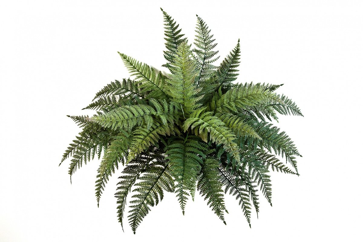 1327N-paporotnik-woodwardia-65cm-iskusstvennoe-rastenie-flora-by.jpg