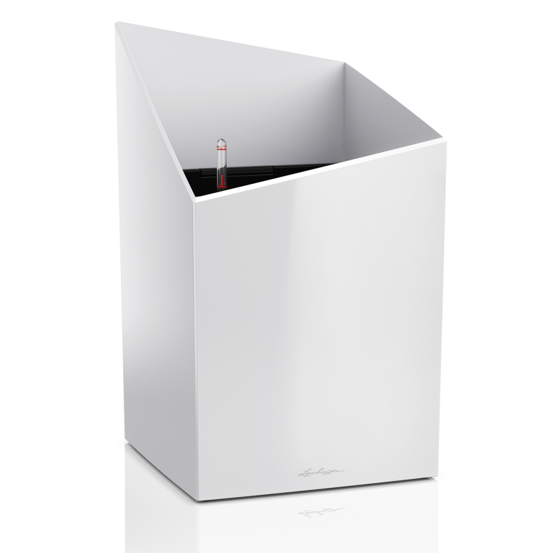 16600_product_image (1).png