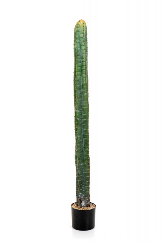 1832N-cereus-kaktus-140cm-iskusstvennyi-flora-by.jpg