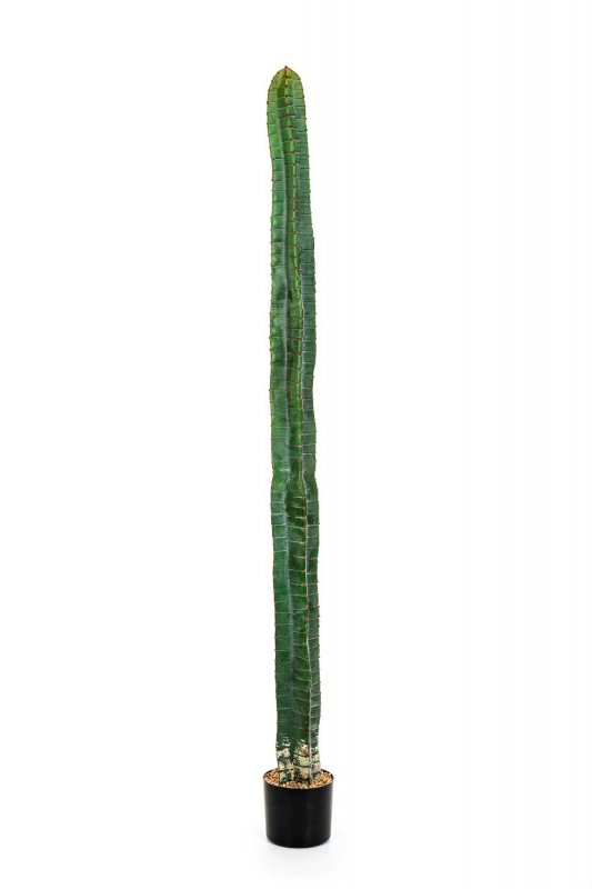 1833N-cereus-kaktus-180cm-iskusstvennyi-flora-by.jpg