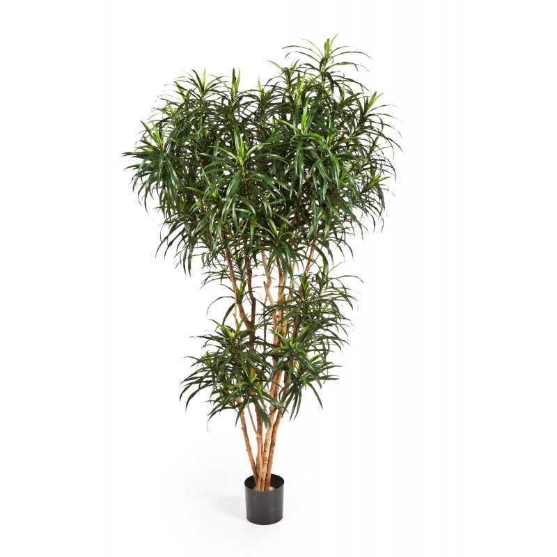 24206N-dracena-refleksa-anita-120-210cm-iskusstvennoe-rastenie-flora-by.jpg