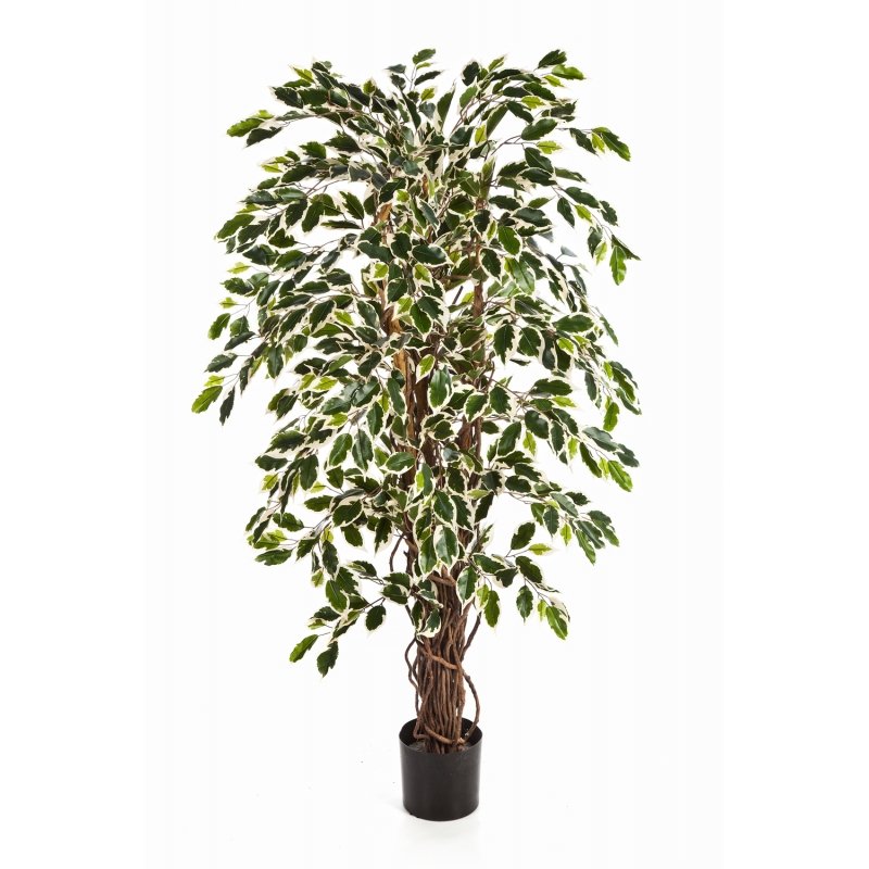 30505NW-iskusstvenny-ficus-liana-pestrolistnyi.jpg
