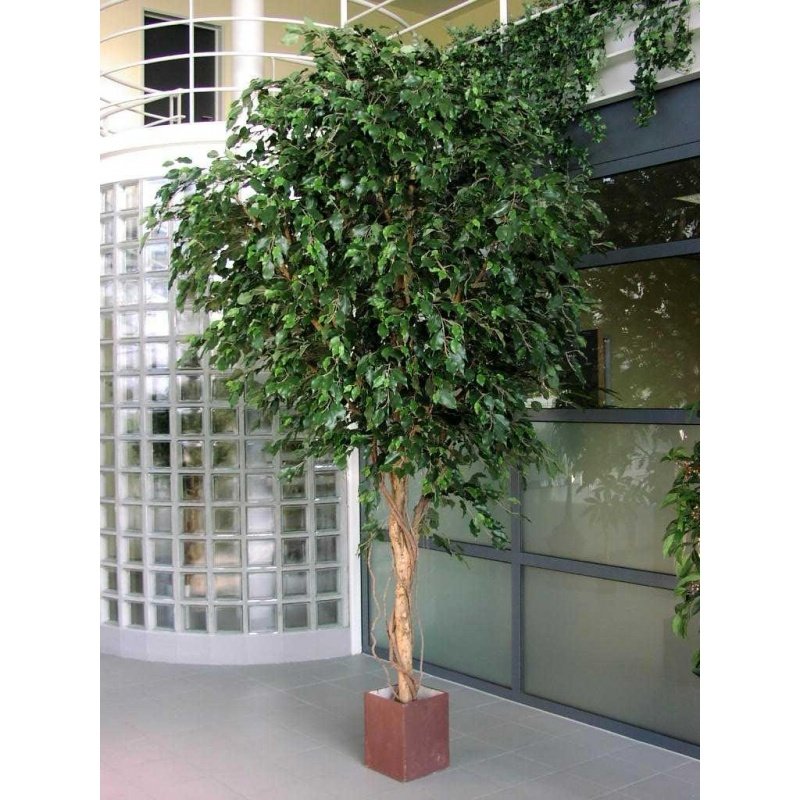 31210N-fikus-exotica-300-360cm-gigantskiy-iskusstvenniy-flora-by.jpg