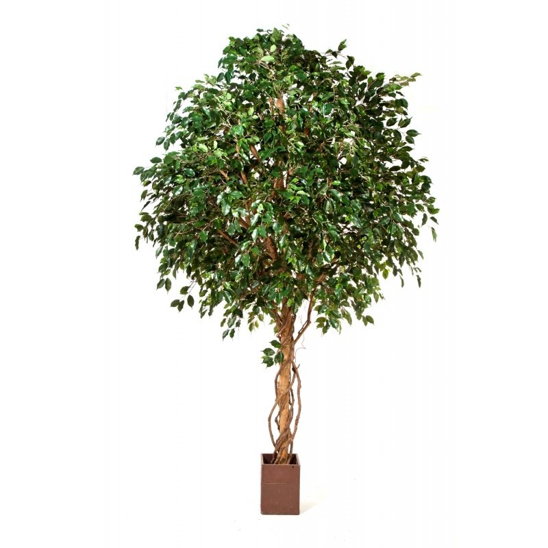 31212N-fikus-exotica-300-360cm-gigantskiy-iskusstvenniy-flora-by.jpg