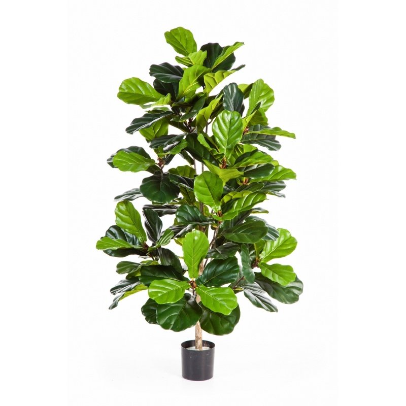 33704N-fikus-lirata-kust-130cm-iskusstvenniy-flora-by.jpg