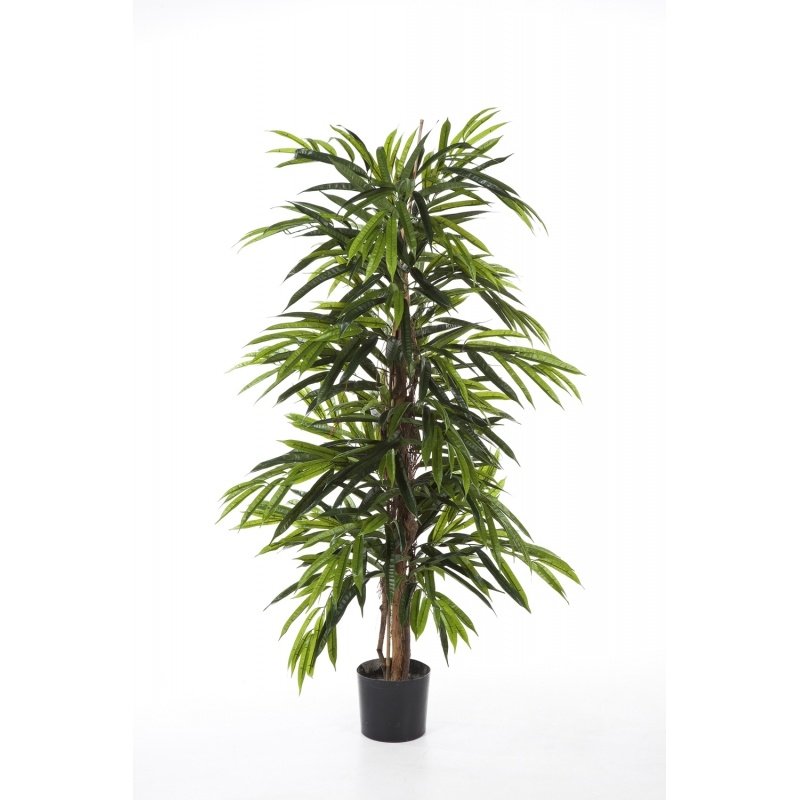 35805N-longifolia-deluxe-iskusstvennaya-flora-by.jpg