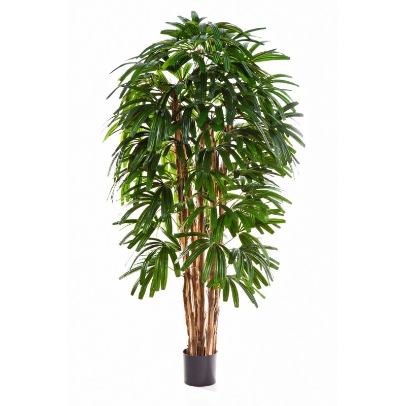 36206N-palma-rapis-shirokolistnaya-120-210cm-iskusstvennoe-rastenie-flora-by.jpg