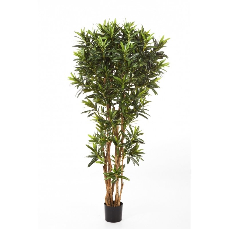 37806N-kroton-goldfinger-refleksa-150-180cm-iskusstvennoe-rastenie-flora-by.jpg