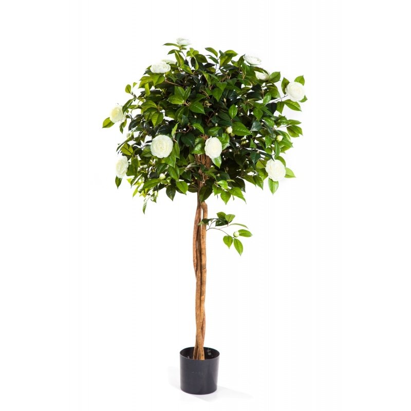 39304NW-kamelia-kremovaya-na-shtambe-130-160cm-iskusstvennoe-rastenie-flora-by.jpg