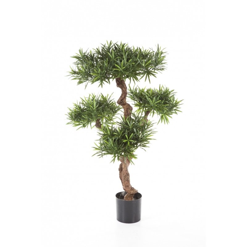 39804N-podokarpus-gornyy-110cm-iskusstvennoe-derevo-flora-by.jpg