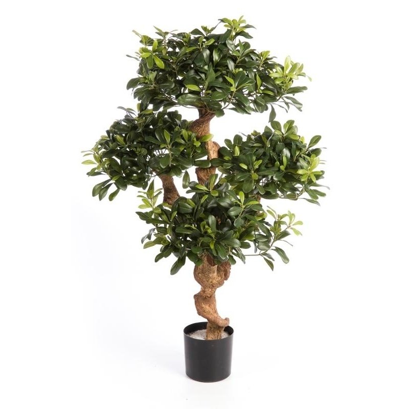 39904N-pittosporum-gorny-120cm-iskusstvennyy-kust-flora-by.jpg