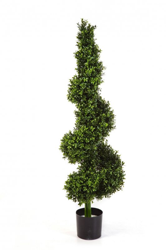 45205N-samshit-spiral-korolevskiy-135cm-ulichnyy-topiariy-flora-by.jpg