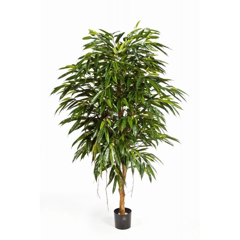 48306N-longifolia-korolevskaya-150-210cm-iskusstvennoe-derevo-flora-by.jpg