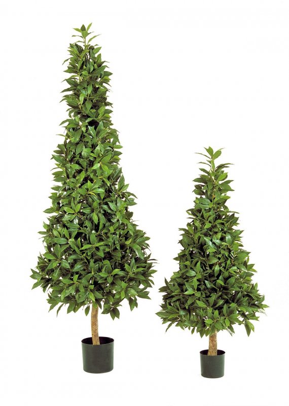 50204 6N-lavr-piramida-de-lux-135cm-iskusstvennyy-flora-by.jpg