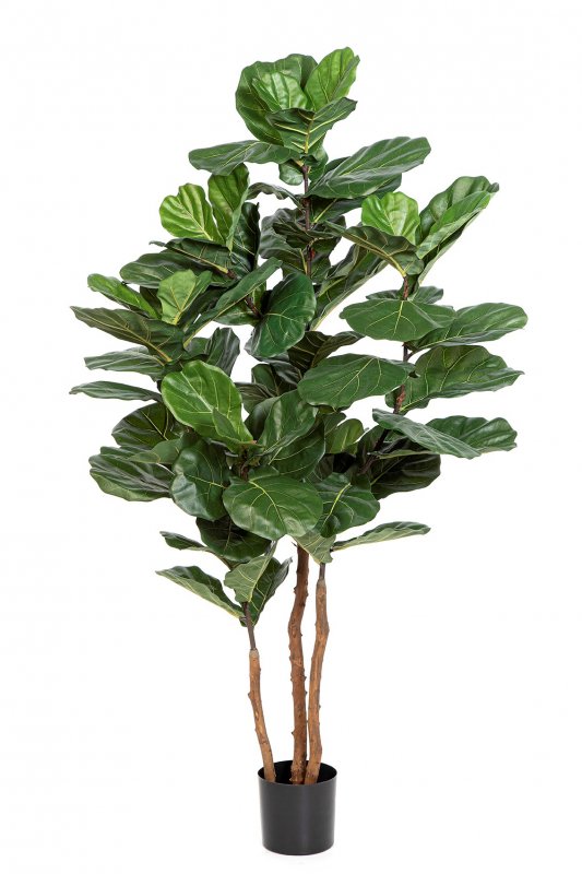 56906N-iskusstvennyj-ficus-elastica-nitida-kauchukonosnyj-190-cm.jpg