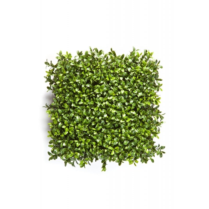 5926CP-samshit-kover-panel-25x25cm-vertikalnoe-ozelenenie-flora-by.jpg