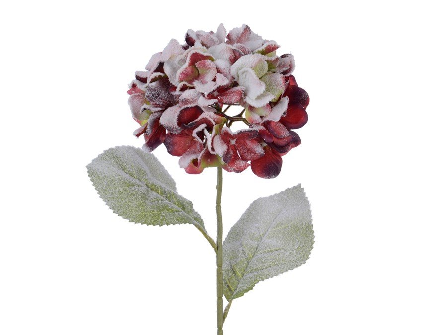 gortenziya628859.jpg
