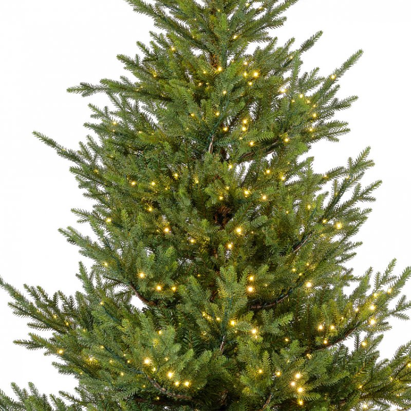 671578s2.jpg