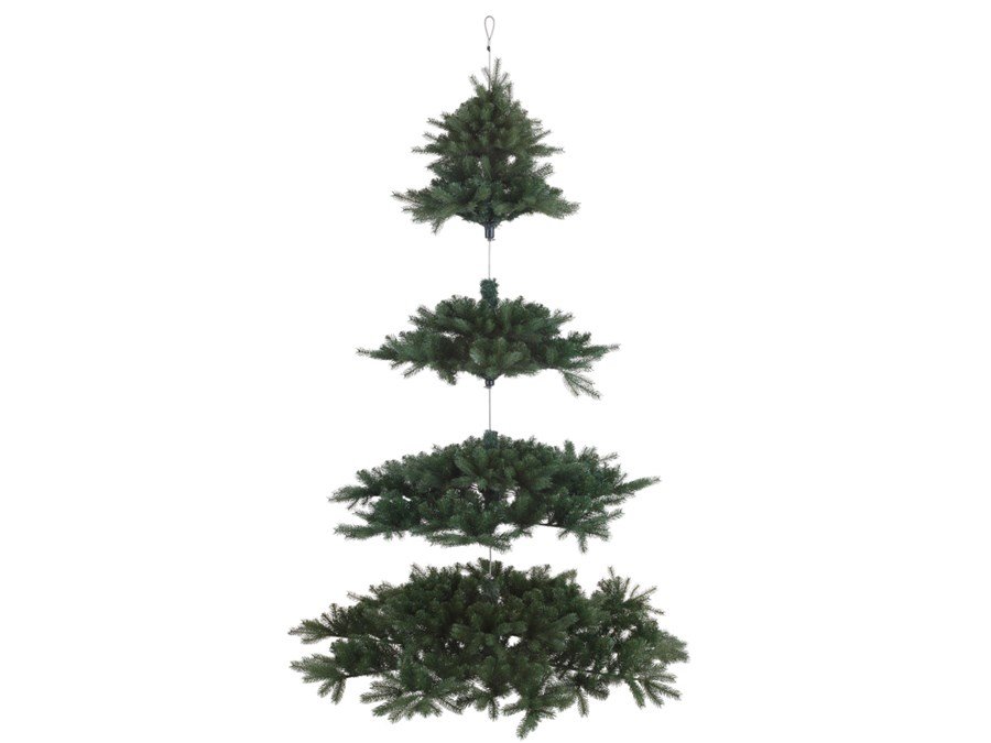 christmas_trees681370.jpg