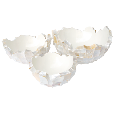 91062_coast_mopwhite_001.png