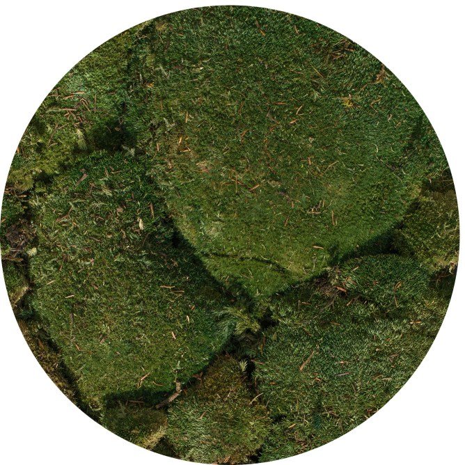 954_2_boll_moss_green_kolo.jpg