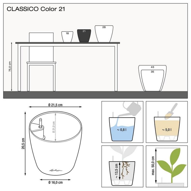 CLASSICO Color 21 muskat.jpg