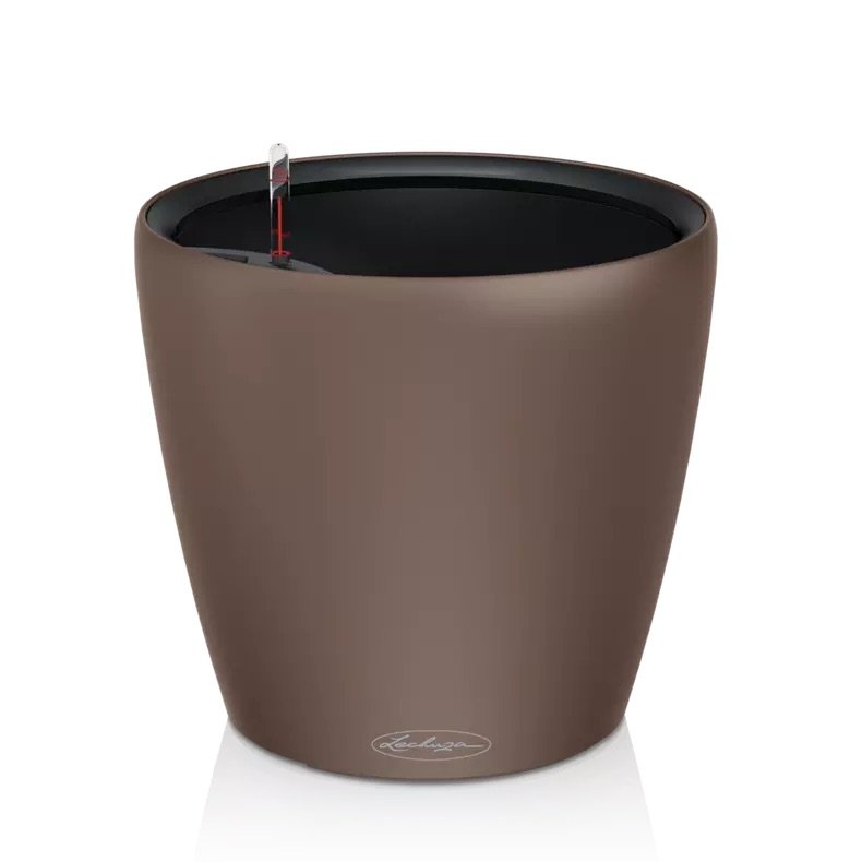 CLASSICO Color LS 21 nutmeg.jpeg