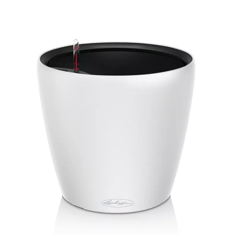 CLASSICO Color LS 21 white.jpeg