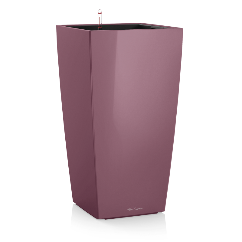 CUBICO 30 plum magic.png
