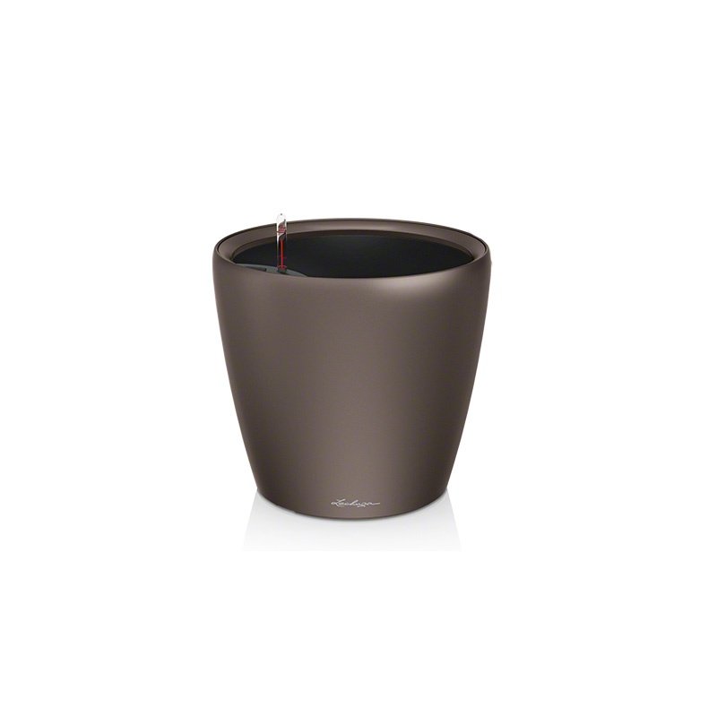 Classico LS espresso.jpg