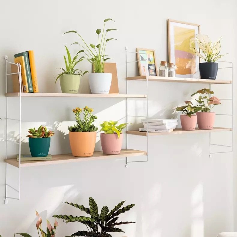 Kashpo_Lechuza_DECO_10_5