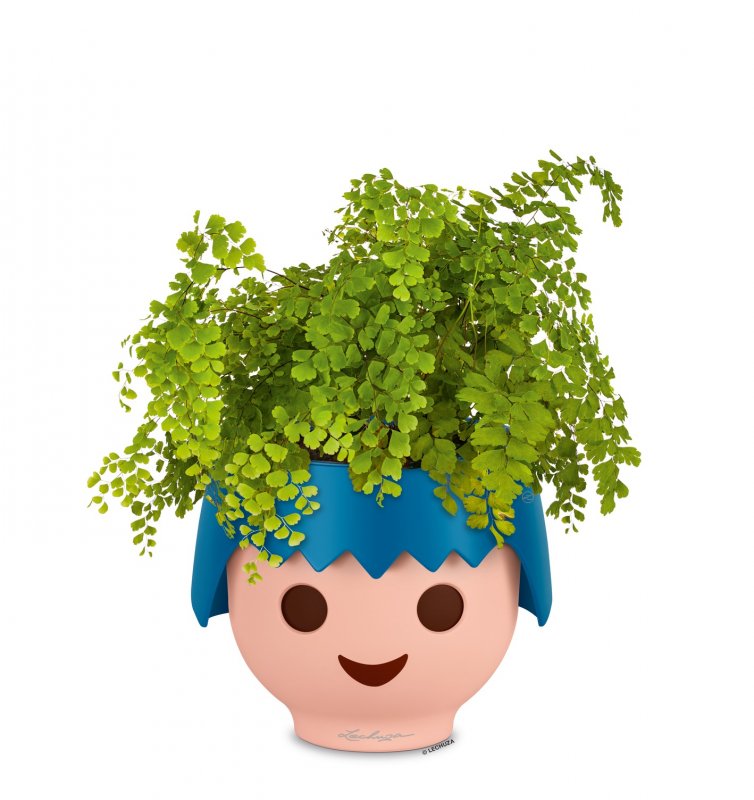 FP_OJO_Explorer_blau_Adiantum_2019_leer.jpg