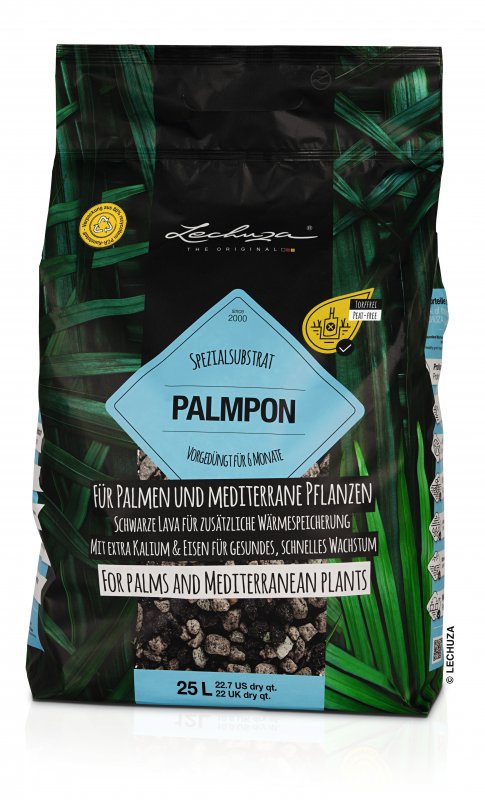 Lechuza_PALMPON_25L_2023.jpg