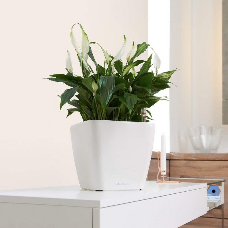 QUADRO LS 28 Антрацитовый металлик (2).jpg