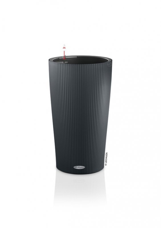 lechuza_cilindro_color_23_grey.jpg
